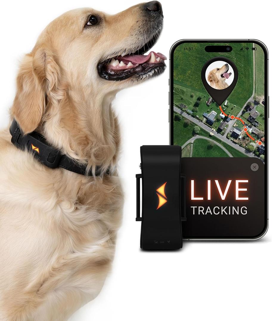 PAJ GPS Dog Tracker - 4G Real-Time Tracking & Runaway Alerts - Waterproof, Long-Range, Smart App Monitor Health & Activity - Fits Any Collar, Mini Device Navigator Chip - Subscription Required - Black