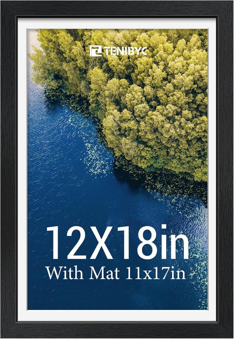 12x18 Poster Frame - Black Solid Wood Picture Frames - Tempered Glass - Displays Photos 11x17 with Mat or 12 x 18 without - Room, Office, Gallery, Studio, and Hallway Decor - Wall Hanging