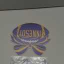 Fairyland JinWenn Decor for Home Diamonds Art kit Decorations, Football Diamonds Painting Kit for Adult Tabletop Gift DIY 5D Diamonds Dots Minnesota Home Special Crystal Diamond 7.9x7.3 inch