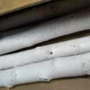 Birch Logs for Fireplace Decor&Craft-18Pcs Birch Branches for Decor Crafts
Wood Logs 0.7-1.7" Diameter,16.5" Long