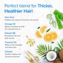 Natural Hair Growth Shampoo and Conditioner Set - Sulfate Free, Vegan, Thicker Hair Regrowth with Vitamins - Hair Loss & Thinning Products - Curly or Color Treated Hair - For Men and Women (16oz)