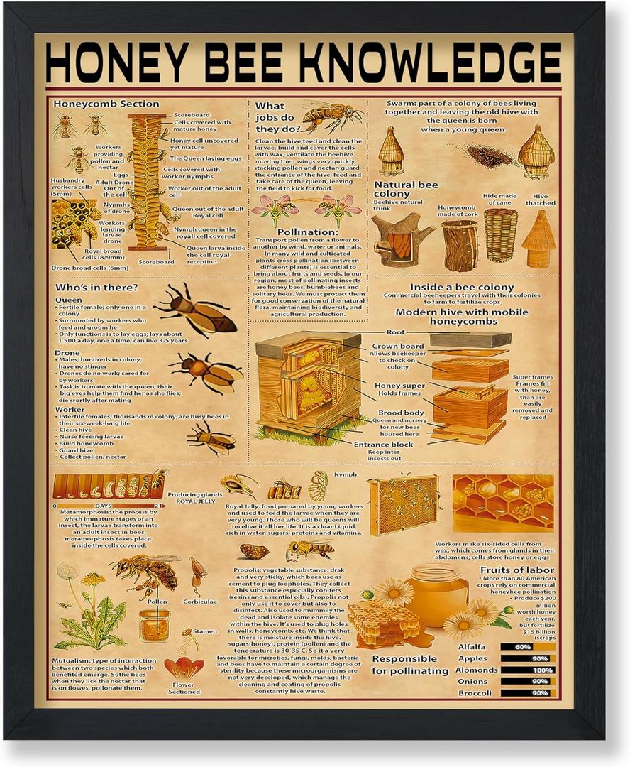 Poster Master Honey Bee Knowledge Poster - Infographic Print - Honey Art - Animal Art - Bee Keeping Art - Educational Art - Typography Art - Great Office or Living Room Decor - 8x10 UNFRAMED Wall Art (Style-16) Poster Master Honey Bee Knowledge Poster - Infographic Print - Honey Art - Animal Art - Bee Keeping Art - Educational Art - Typography Art - Great Office or Living Room Decor - 8x10 UNFRAMED Wall Art (Style-16)