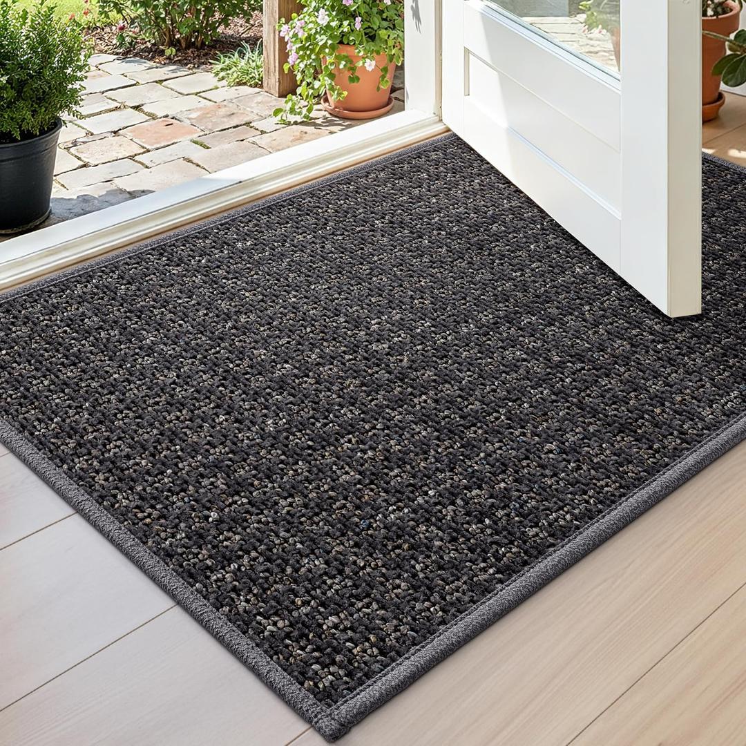 DEXI Thin Indoor Door Mat 24x36, Doormats Entrance, Dark Grey