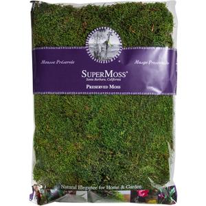 Super Moss 21513 Preserved Sheet Moss, Fresh Green, 16-Ounce