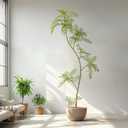 7.2FT Artificial Tree Fake Jacaranda Tree,Faux Tall Tree Lifelike Green Leaves Large Plants Indoor Fake Trees for Home Decor