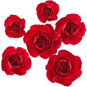 6 pcs 3D Paper Flower Decoration for Party, Wedding Decoration, Background Wall, Nursery Room Decoration, Bridal Shower, Baby Shower (Red,Set/6)