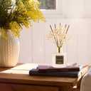 Cocorrna Reed Diffuser Sets, 6.7 fl oz. Black Forest Diffuser with Sticks Home Fragrance Reed Diffuser for Bathroom Shelf Decor