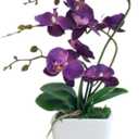 15" Tall Artificial Silk Phalaenopsis Orchid Flower Plant Pot Arrangements (Dark Purple)