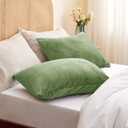 BEDELITE Flannel Pillowcases Standard Set of 2, Super Soft Fleece Pillow Case Cover with Zipper for Bedroom, Sofa, Couch,Luxury Cozy Velvet Pillow Shams for All Seasons(20x26 Inches, Sage Green)
