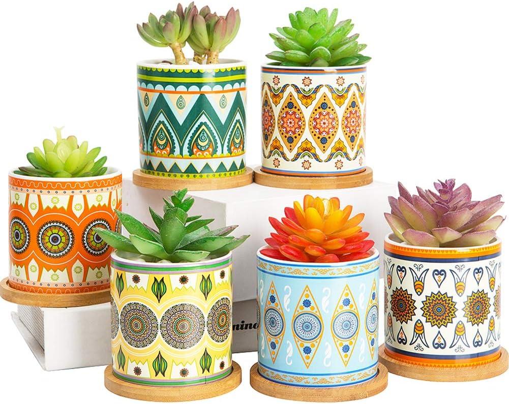 Succulent Plant Pots - 3.1 inch Ceramic Succulent Planter -Cylinder Flower Pots for Cactus with Drainage Hole and Bamboo Tray, 6 Pack (Multicolor1)