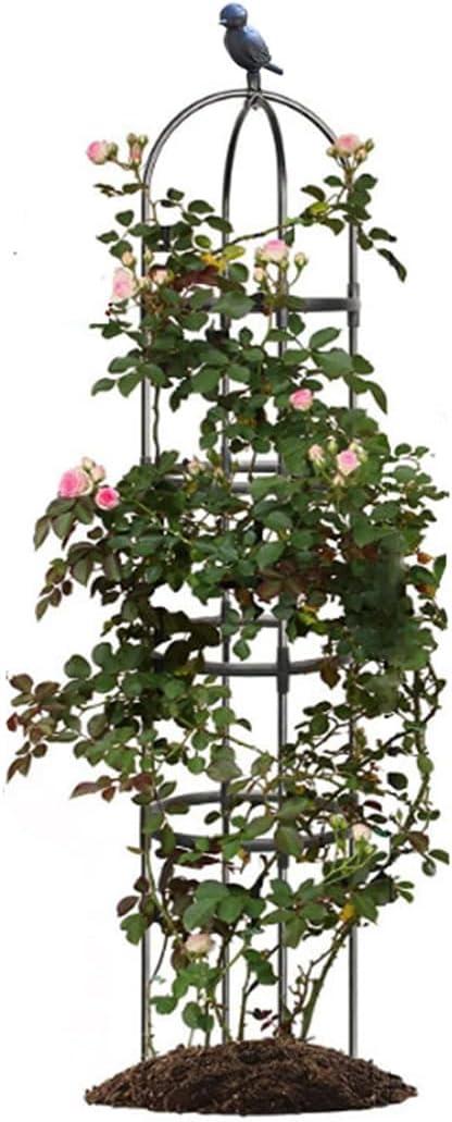 Garden Trellis,Tomato Cage for Climbing Plants Outdoor, Plants Trellis Support for Climbing Vines, Plant Support for Vegetables, Plant Flower Trellises for Clematis Jasmine Outdoor Indoor-1 Pack