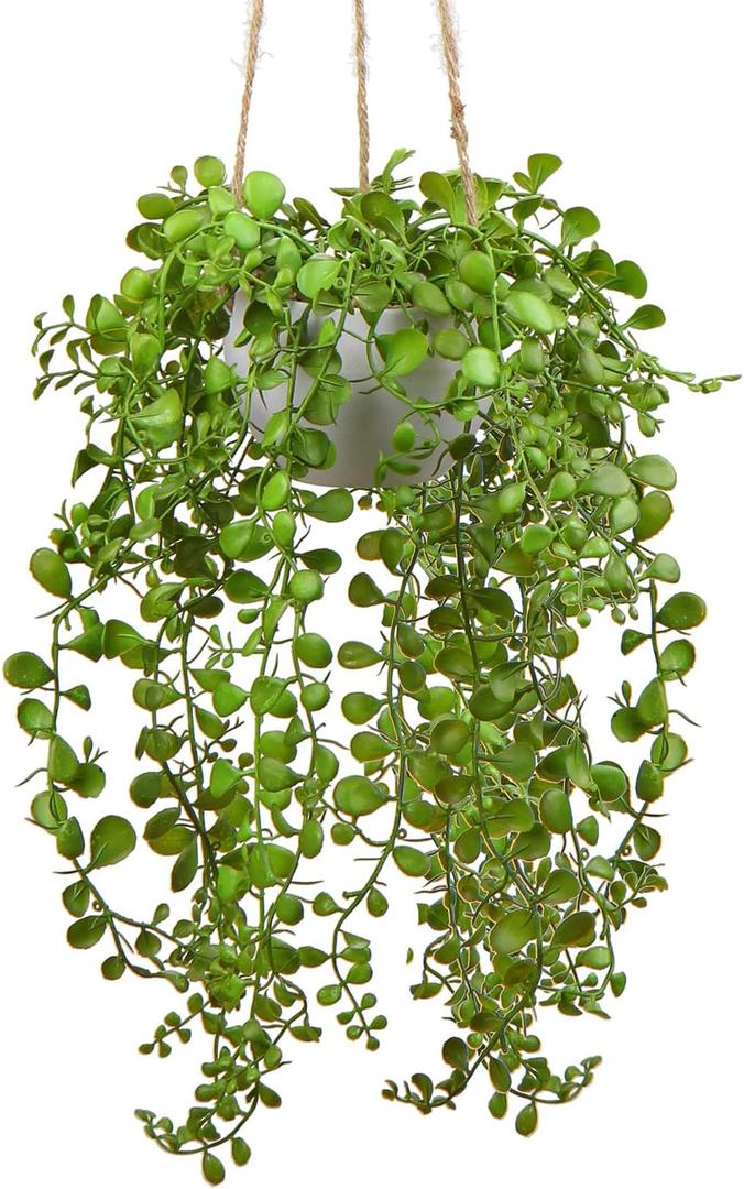 Artificial Hanging Plants Fake Greenery Succulent Potted Plant Ceramic Planter for Home Wall Indoor Outdoor Decor Dischidia Oiantha