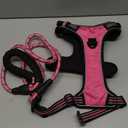 No Pull Dog Harness Adjustable Reflective Oxford Easy Control Large Dog Harness with A Free Heavy Duty 5ft Dog Leash L