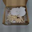 15 PCS 3-4 Inches Large Starfish 2-6 Inch Mixed Natural Scallop Shells Perfect for Wedding Decor Beach Theme Party, Home Decorations, DIY Crafts, Fish Tank