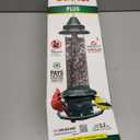 Squirrel Buster Plus Squirrel-proof Bird Feeder w/Cardinal Ring and 6 Feeding Ports, 5.1-pound Seed Capacity, Adjustable, Pole-mountable (POLE ADAPTOR SOLD SEPARATELY), Green