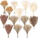 300 PCS Dried Pampas Grass Decor, Dried Flower Bouquets for Wedding, Home, Centerpiece Table, Modern Home, Western Living Room, Nurserie, Nursery, Boho Room, Beach, Women Office, and Boho Decor