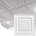 Noooza 2ft x 2ft Drop Ceiling Tiles, White Icon Relief Ceiling Tiles 24 x 24in.Waterproof, Washable and Fire-Rated - Reusable - High-Grade PVC to Prevent Breakage Cover 48 Sq. Ft, Pack of 12 Tiles