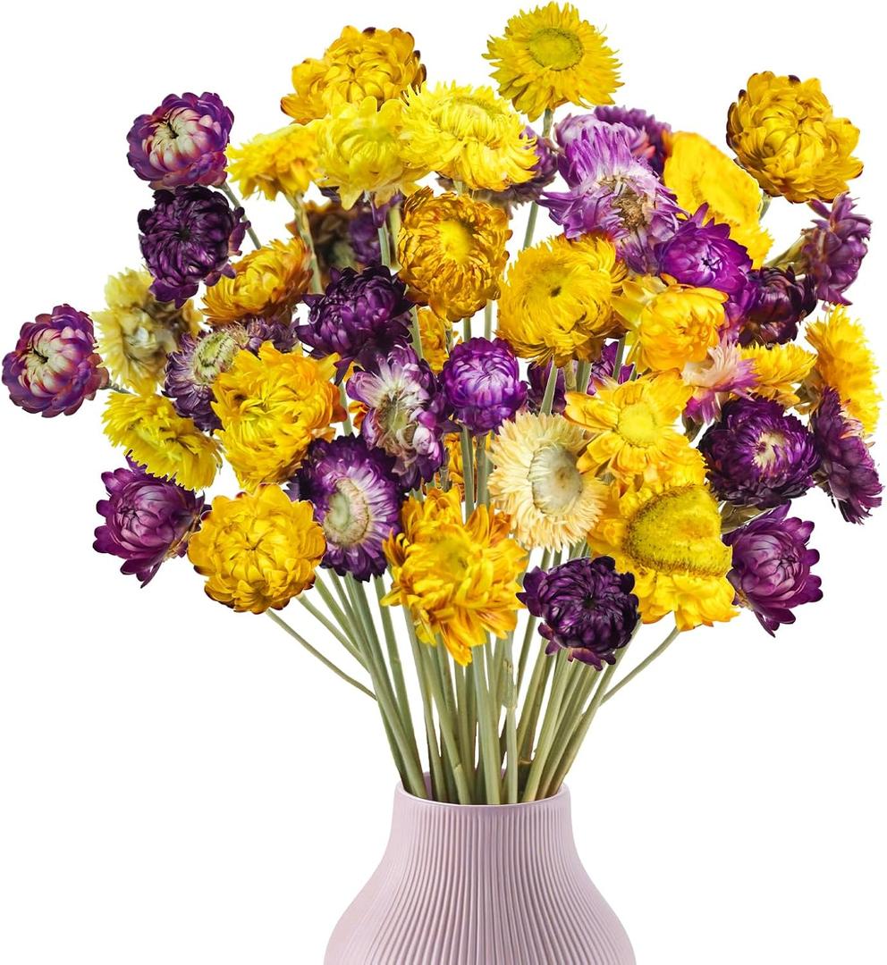 Phliofd 40PCS Dried Daisy Mums Flowers, 16.9in Dried Daisies Chrysanthemum Gerbera Dried Orange Yellow Flowers Arrangements for Vase Home Farmhouse Wedding DIY Table Centerpiece Dcor