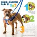 2 Hounds Design Freedom No Pull Dog Harness, Adjustable Harness and Leash Set, Easy Walking & Comfortable Control, Fits Small, Medium & Large Dogs, Solid Colors, Made in USA, 1" MD, Raspberry