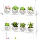 3-Tier Acrylic Hanging Plant Shelves - Height Adjustable Clear Acrylic Shelves for Windows - Perfect for Indoor Gardens, Kitchen Window Displays of Flowers, Succulent Plants, and Seedling Growth