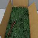 Rowfad 12 Pcs Artificial Norfolk Pine Branches, Norfolk Pine Artificial Pine Stems DIY Crafts Faux Christmas Greenary Norfolk Pine Branches for Xmas Wreath Garland Home Decor (12)