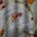 OLAOLA Capybara Wearable Blanket Hoodie for Adults Oversized Animal Hooded Blanket Throw Comfy Sweatshirt Hoodie Women Men Sherpa Fleece with Pockets & Sleeves for Birthday