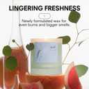 Boy Smells Spa Water Scented Candle 8.5oz Pink Grapefruit, Eucalyptus & Sandalwood Fresh Aquatic Soy Wax Candle