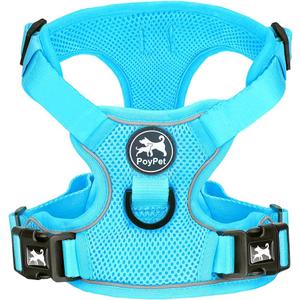 PoyPet Reflective Soft Breathable Mesh Dog Harness No Choke Double Padded Vest Adjustable(Light Blue,S)
