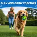 Dog Toys Ball, Interactive Dog Ball, Shaking with Gibbering Sound, for Training & Herding, M, 3.46 in (8.8 cm)