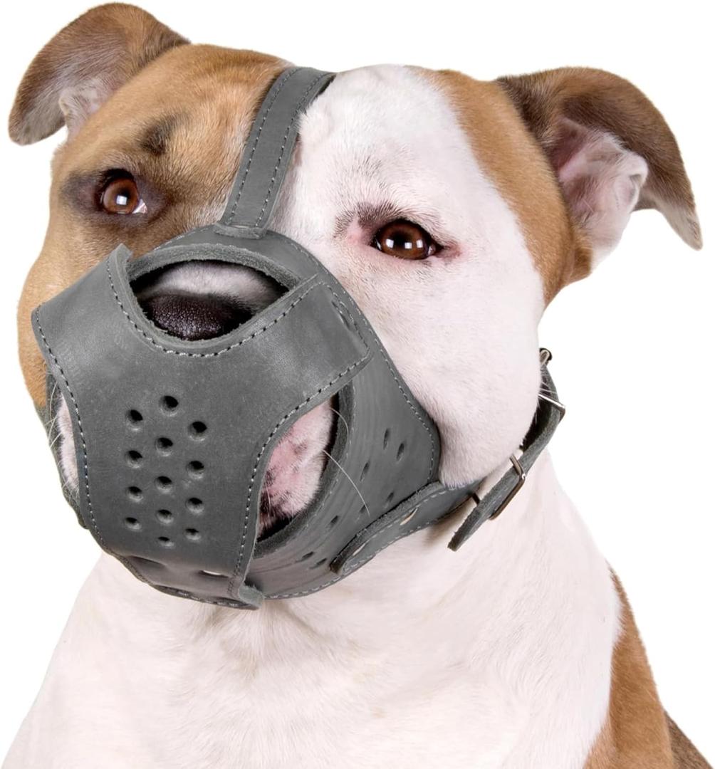 CollarDirect Dog Muzzle Pitbull Amstaff Basket Genuine Leather Staffordshire Terrier (Grey)