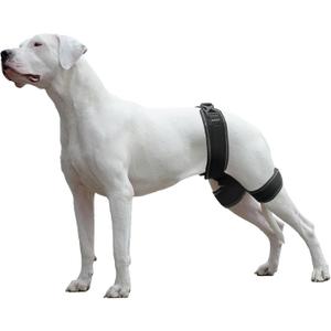 Dog Hip Brace  Support Harness for Hip Dysplasia, Joint Pain Relief, Prevents Hip Joint Issues, Orthopedic Support for Dogs(XL)