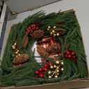 24”Christmas Wreath with Lights for Front Door Norfolk Pine Natural Pine Cones Berry Clusters Winter Outdoor Décor Indoor Wall Decorations