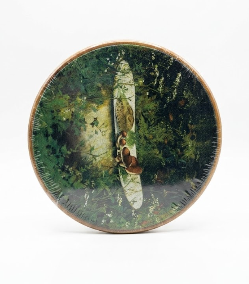 CUANFDDSF Vintage Moody Cottagecore Bathroom Round Wall Art Decor, Dark Academia Botanical Forest Shower Room Wall Hanging Frame Decor, Nature Flower Canvas Prints Decorations for Home Bedroom Living Room, 10x10 Inch