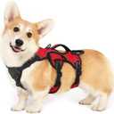 rabbitgoo Escape Proof Dog Harness, Soft Padded Full Body Pet Harness, Reflective Adjustable No Pull Vest with Lift Handle and Leash Clip for Large Dogs Walking Hiking Training, S, Red (Small (Pack of 1))
