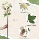 Kajaia 4 Pcs Artificial Snowball Hydrangea Branches 30 Inch Faux Snowball Viburnum Stems, 5 Head Silk Hydrangea Blooms Branch for Vase DIY Table Centerpiece, Farmhouse Home Wedding Decor(Cream White)