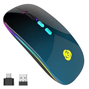 CC Store LED Wireless Bluetooth Mouse &2.4GHz Instant Connection,Rechargeable Ultra Silent Slim,3 Adjustable DPI 2 Connection Modes with USB-C to USB Adapter for Laptop/MacBook/PC/Tablet/iPad (Black-Blue)
