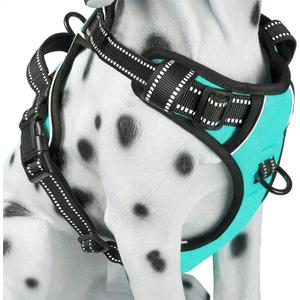 PoyPet No Pull Dog Harness, Reflective Comfortable Vest Harness with Front & Back 2 Leash Attachments and Easy Control Handle Adjustable Soft Padded Pet Vest Dogs (Mint Blue,M)