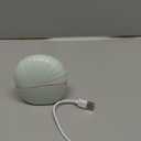 Mini Hair Straightener, Cordless&Rechargeable Portable Hair Straightener Brush with 3-Speed Temperature Control, Fast Heating Hot Comb&Anti-Scald Shell, Mini Straightener Brush for Home Travel Gift (Green)