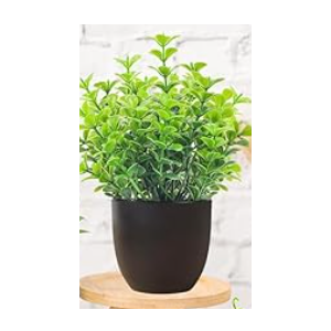 Der Rose 4 Pack Small Fake Plants Mini Artificial Faux Plants in Pots for Home Office Bedroom Living Room Decor