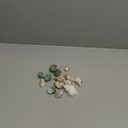 15PCS Hermit Crab Shells Include Small & Medium and Large (6 Types) Natural Seashells, for Hermit Crab Supplies and Replacement Sea Shells