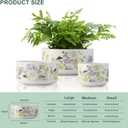 Ceramic Plant Pots Set of 3, Planters & Container Accessories Planters Indoor Outdoor Flower Planter for Home, Garden, Office Dcor 6 5 4 (SH008)
