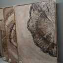 Large Framed Neutral Vintage Wall Art for Living Room, 3 Piece Retro Rustic Tree Ring Prints Canvas Artwork for Walls, Nature Paintings Pictures for Bedroom Hallway Home Office Wall Decor, 24x36 Inch