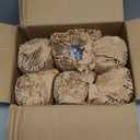 Heavy Beer Mugs Set, 16oz Glass Mugs With Handle, Beer Glasses For Freezer, 500ml Beer Drinking Glasses, Traditional Stein For Bar, Alcohol, Beverages,Coffee, Teas, Set of 6