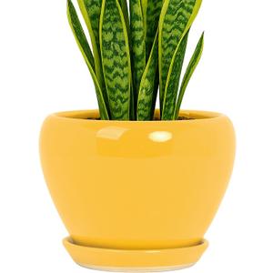 Deep Dream 8 Inch Plant Pots- Ceramic Pots for Plants with Drainage Hole and Saucer, Large Planter Pot for Indoor Plants Outdoor Decor, Yellow