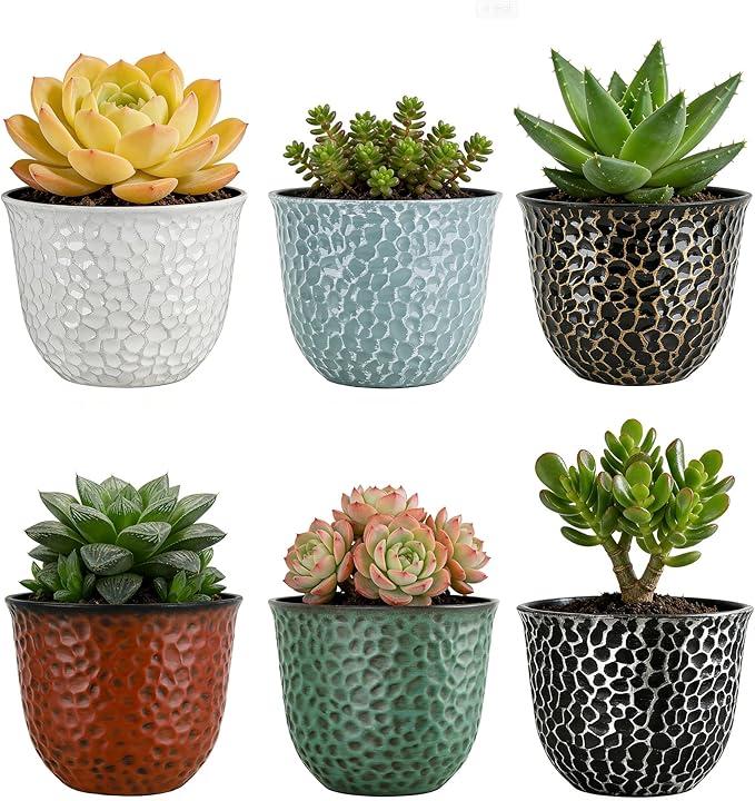 Worth Garden Plastic Round 8 Inch Planters for Indoor Plants Set of 6 Outdoor Resin Flower Pots Colorful with Drainage Hole Rubber Plug Retro Appearance Home Christmas Decorative Containers Multicolor
Visit the Worth Store