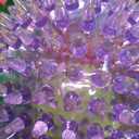 12 Pcs 4.5 in Squeaky Dog Toy Balls Spiky Dog Balls Chew for Teething Durable High Bounce TPR Fetch Toy 9 Colors Water Toy for Large Medium Dogs Aggressive Chewers Clean Teeth and Training