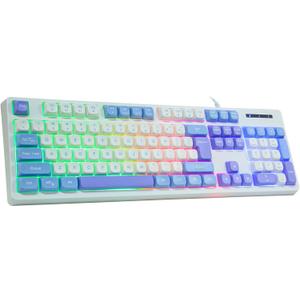 HUO JI Wired Gaming Keyboard with Rainbow LED Backlit, Floating Keys, Mechanical Feeling, Spill Resistant, Ergonomic Full Size for Xbox, PS Series, Desktop, Computer, PC (White Blue)