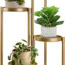 4 Tier Plant Stand Indoor Outdoor, 31 Inch Tall Metal Plant Shelf Waterproof, Plant Holder with Folding Design For Home, Living Room, New Upgrate Gold