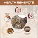 HUPA Cat Chew Sticks | Anxiety Relief & Digestive Support, Kitten Teething Chews, Cat Dental Chews | Natural Catnip Teething for Indoor Cats, Energetic Chew for All Ages & Breeds | 6 Sticks