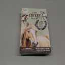 Lolli & Pip Sticker Horse 48ct 3 Pack